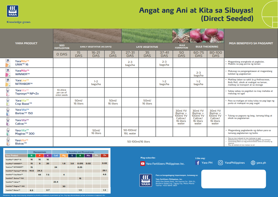 Onion direct seeded chart