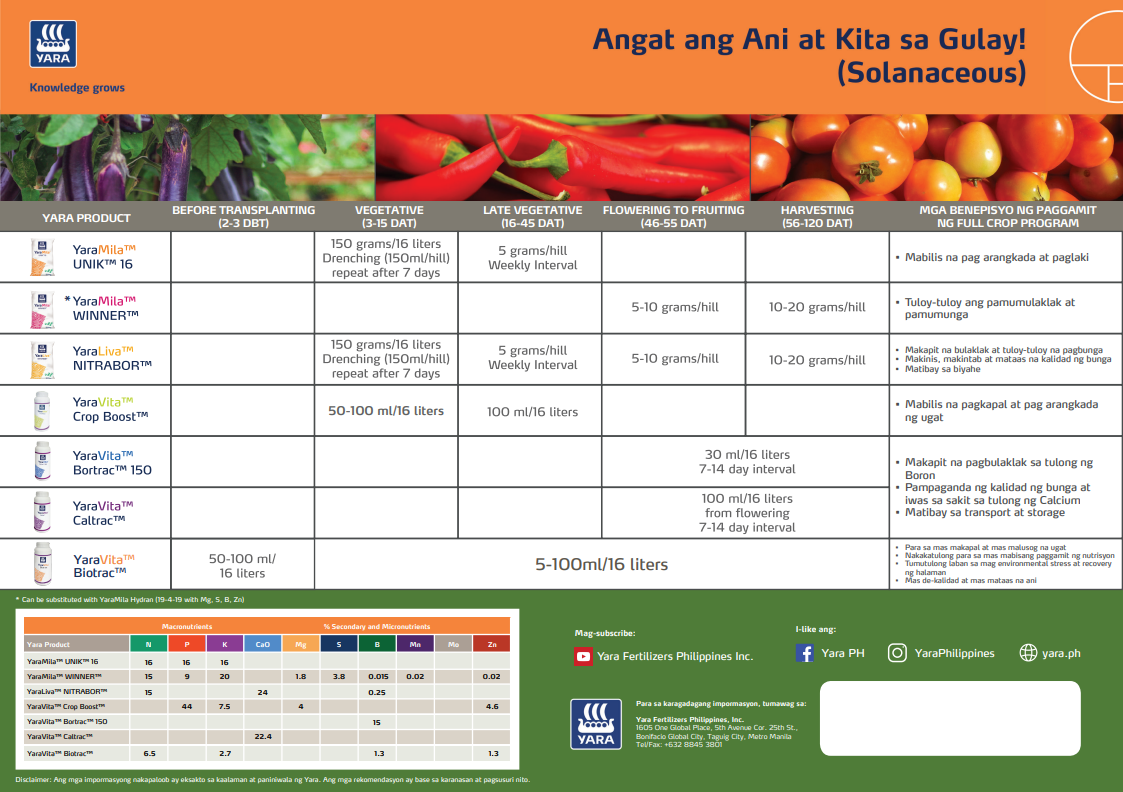 Chili chart