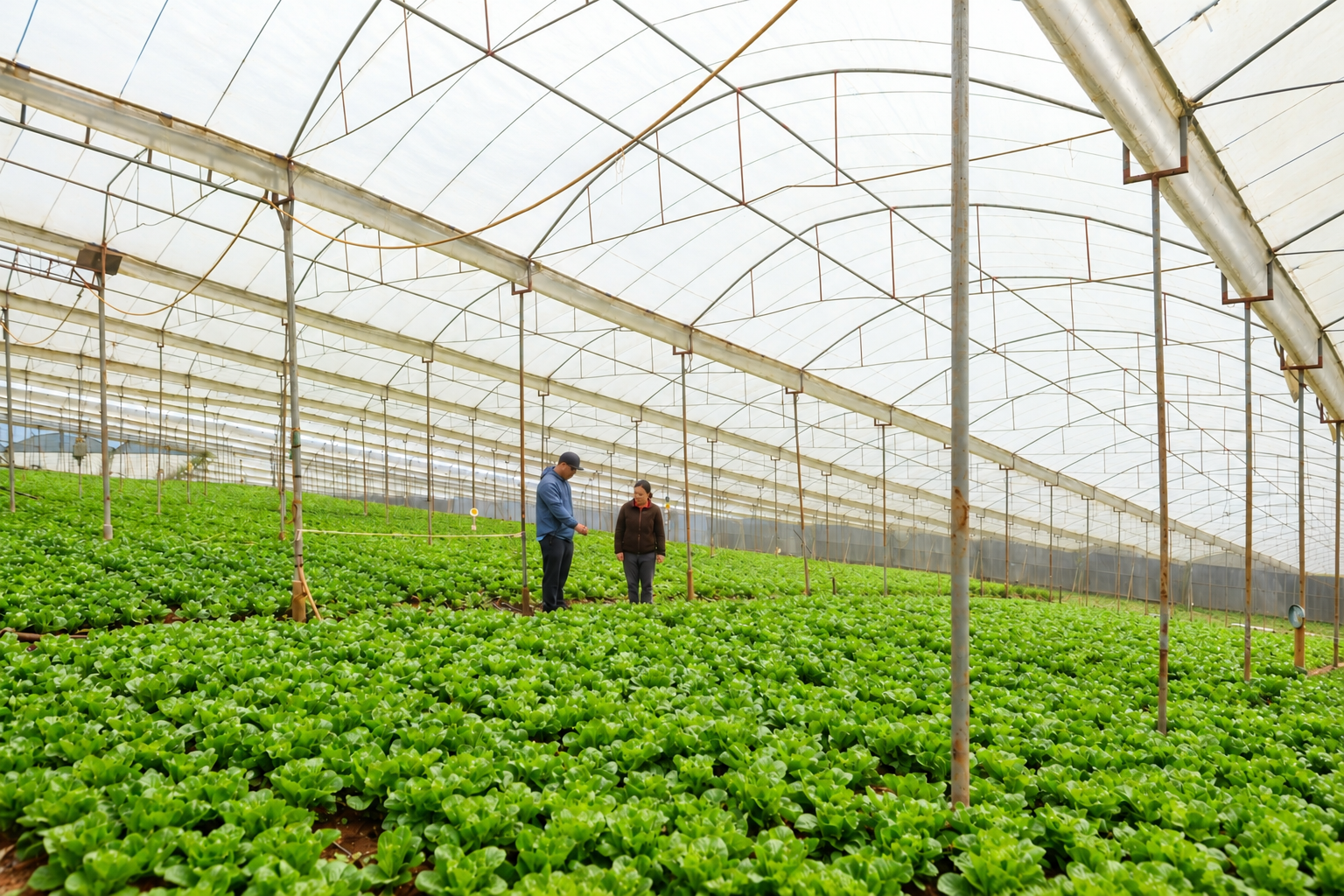 YaraVita - Micronutrient foliar fertilizers