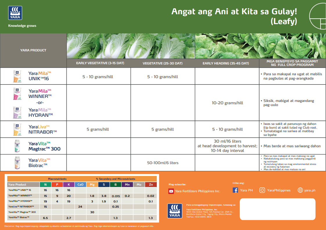Broccoli chart