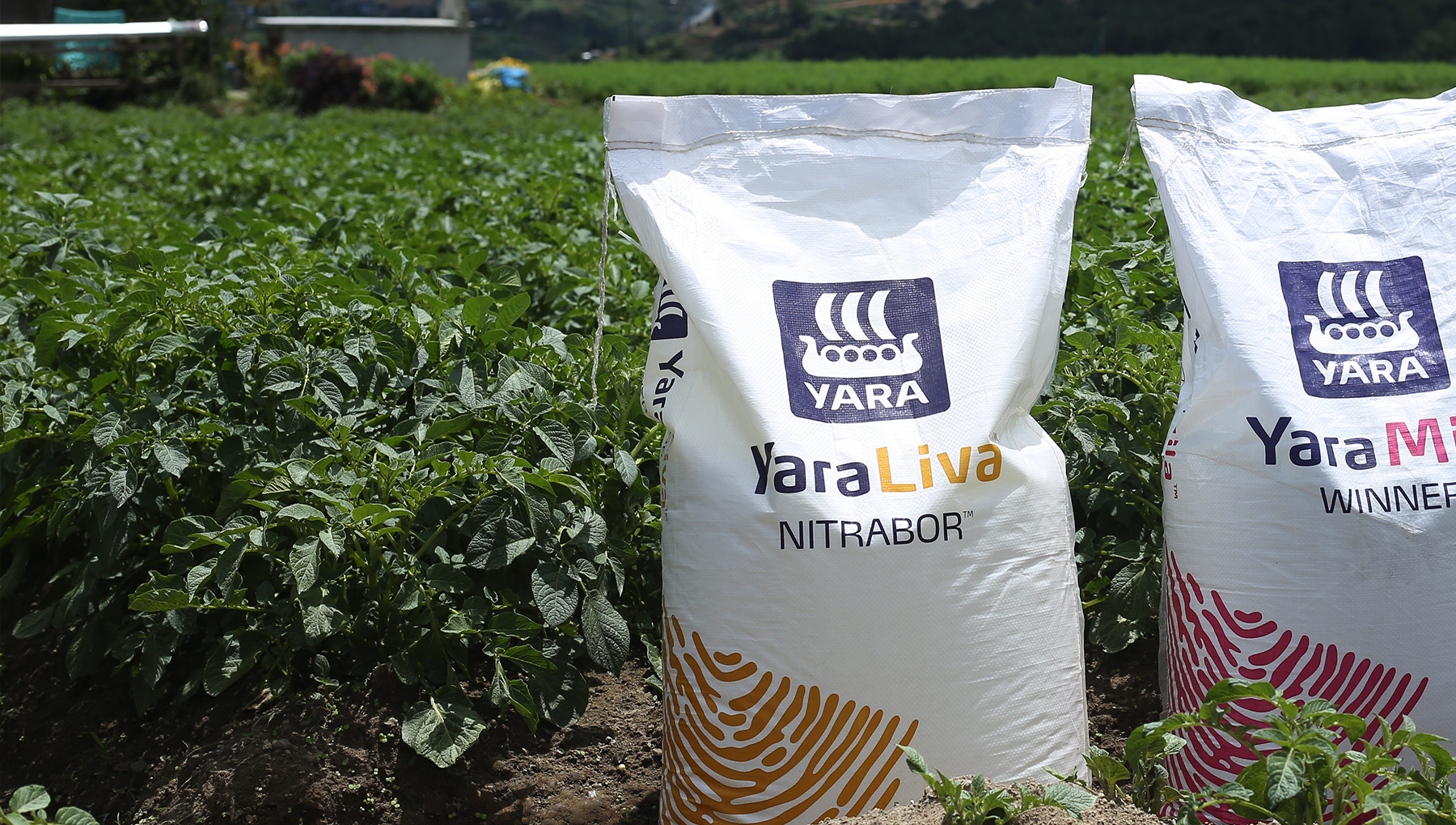 YaraLiva - Calcium nitrate fertilizers