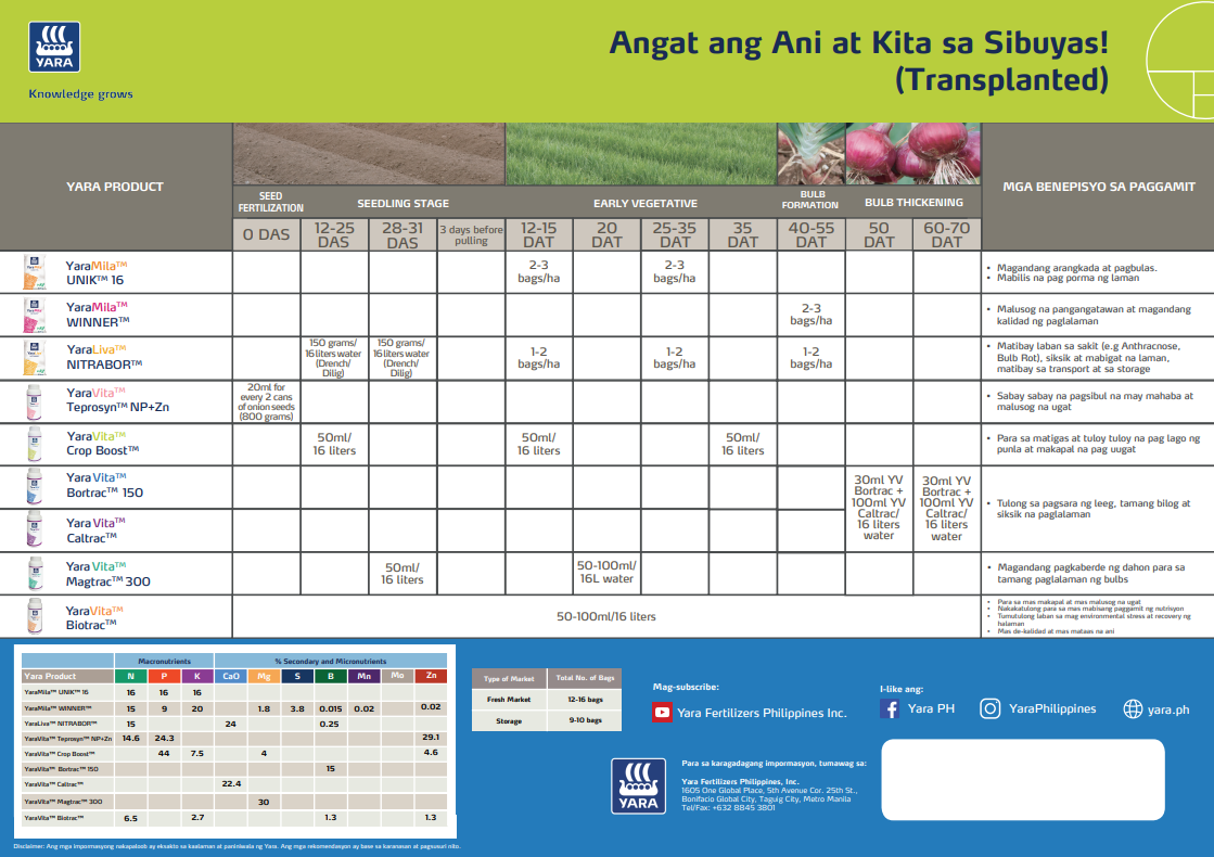 Onion transplanted chart