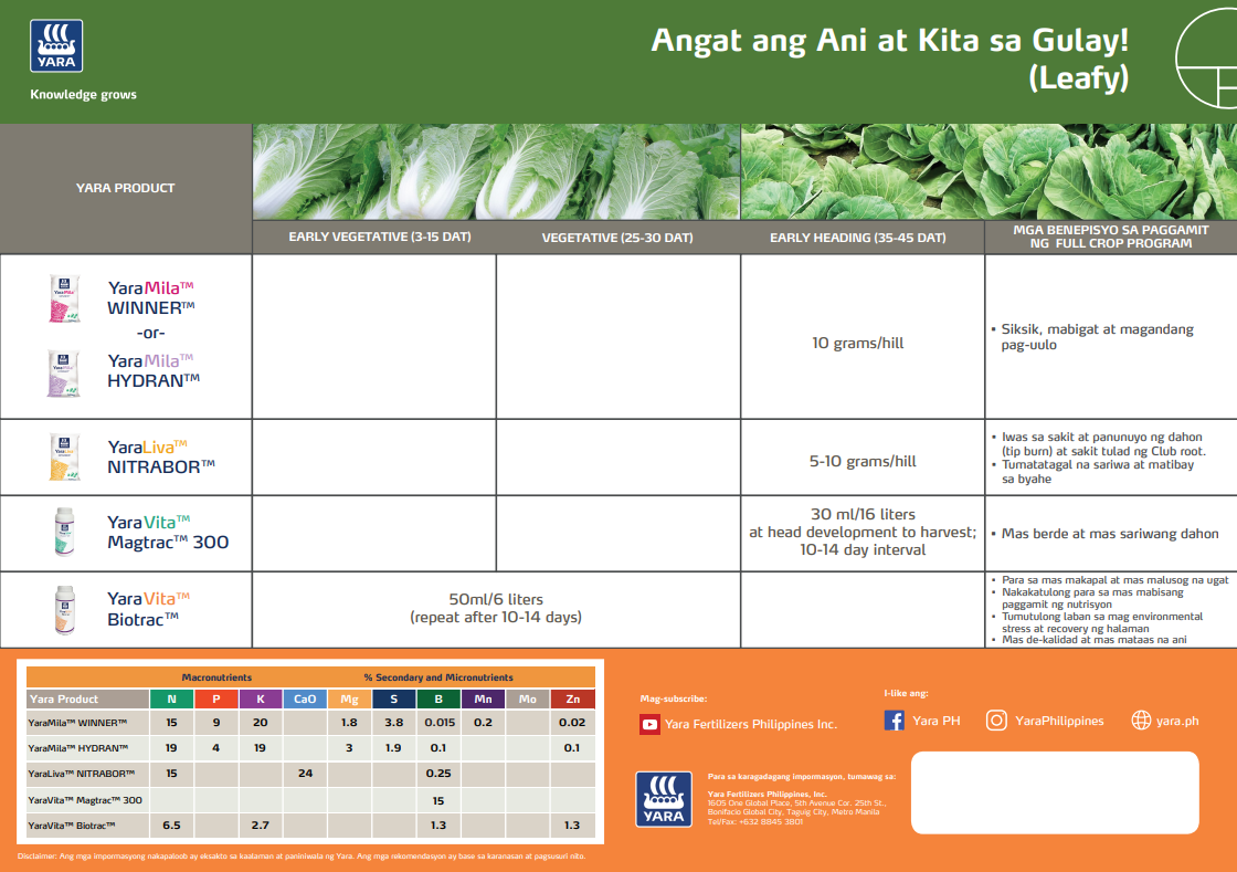 Broccoli chart